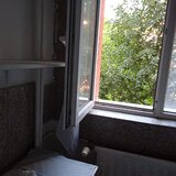 Colentina, Teiul Doamnei, parc, semistradal